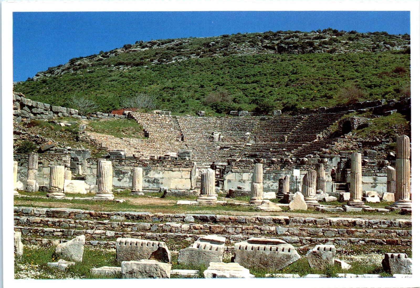 The Ancient Odeion Theatre, Ephesus, Turkiye Postcard
