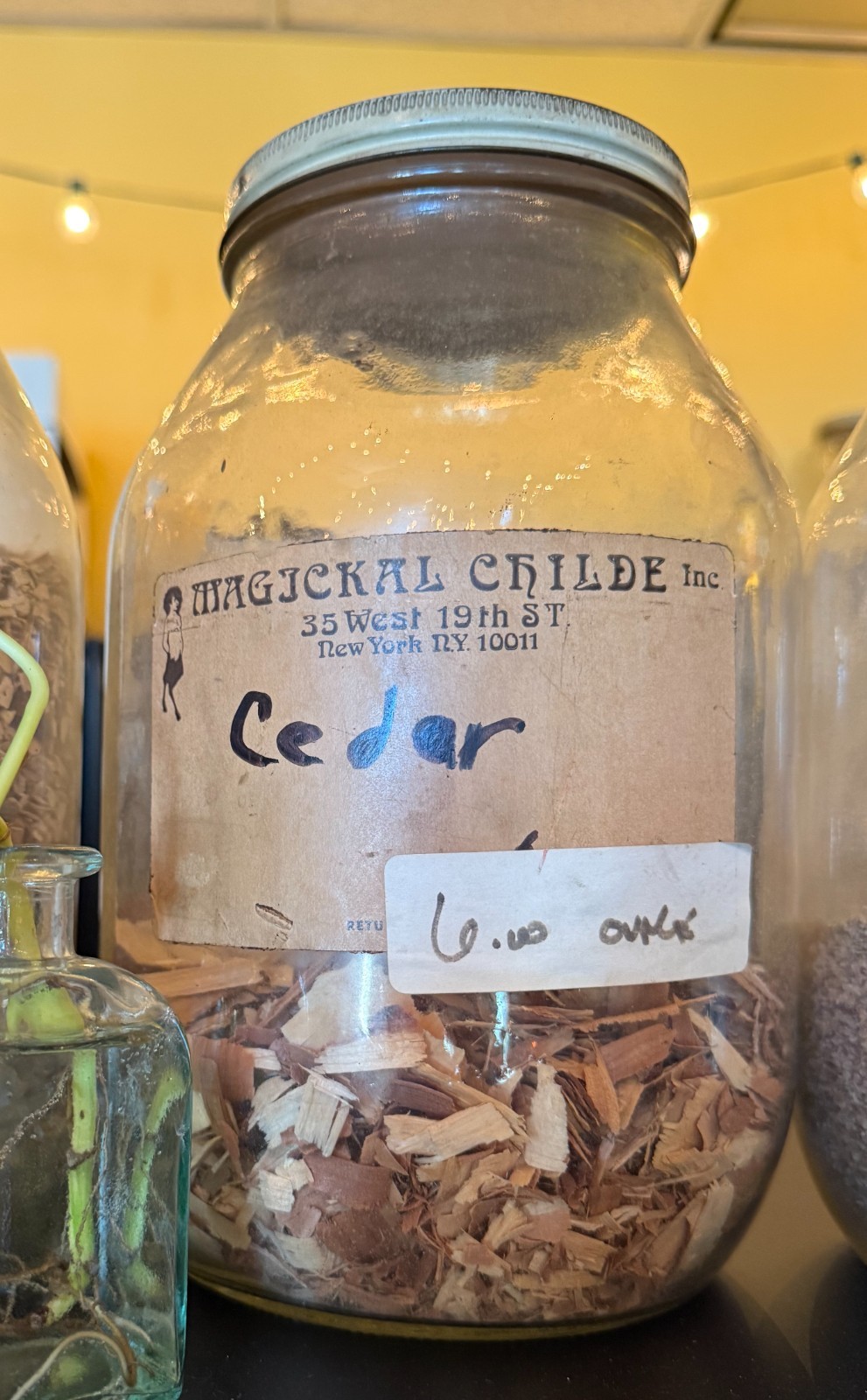 Cedar – Original Jars from the Magickal Childe Shoppe NYC