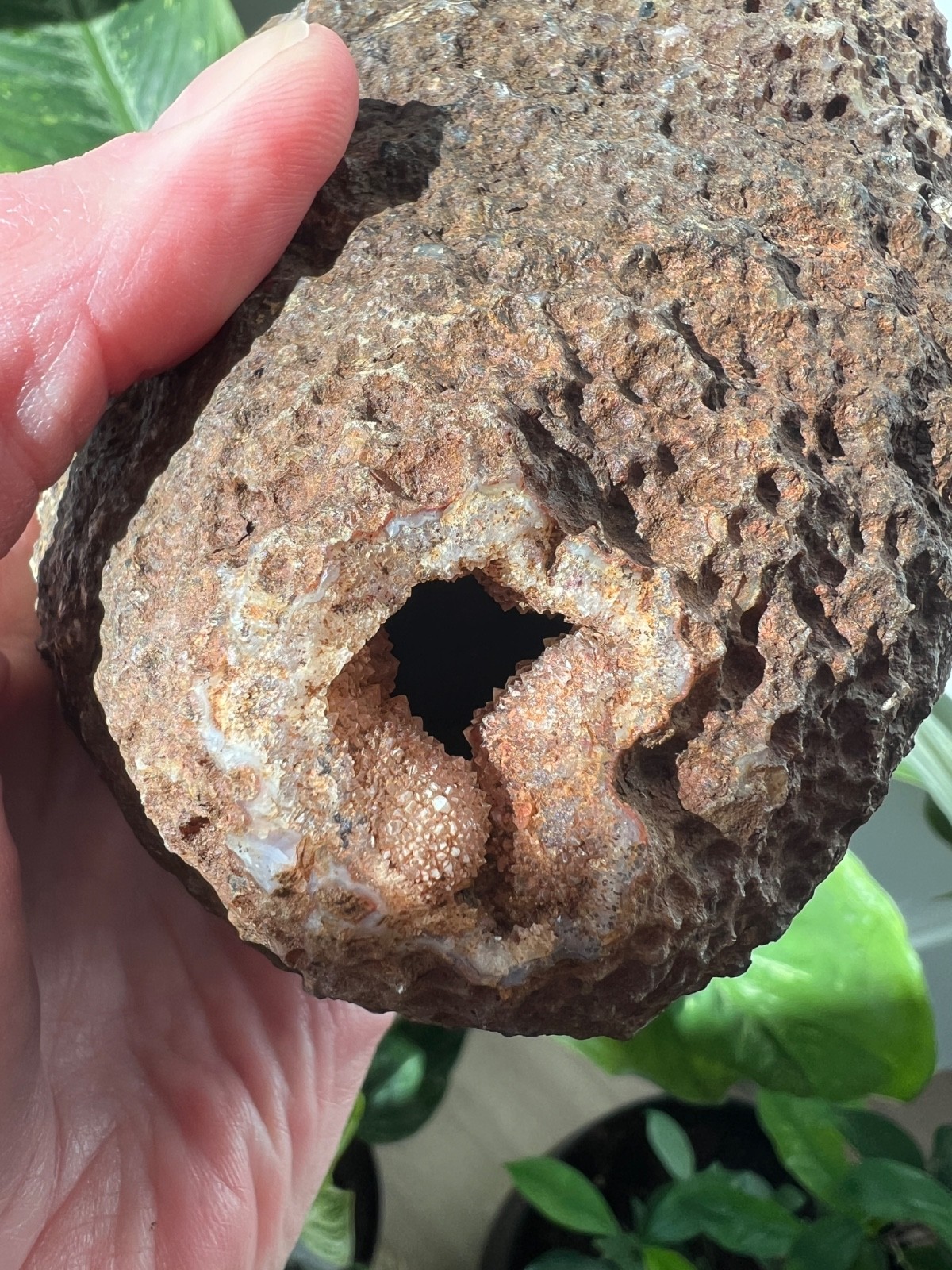 Lavender Berber Geode Pair | Atlas Mountains, Morocco | 1.6 lbs Natural Cracked