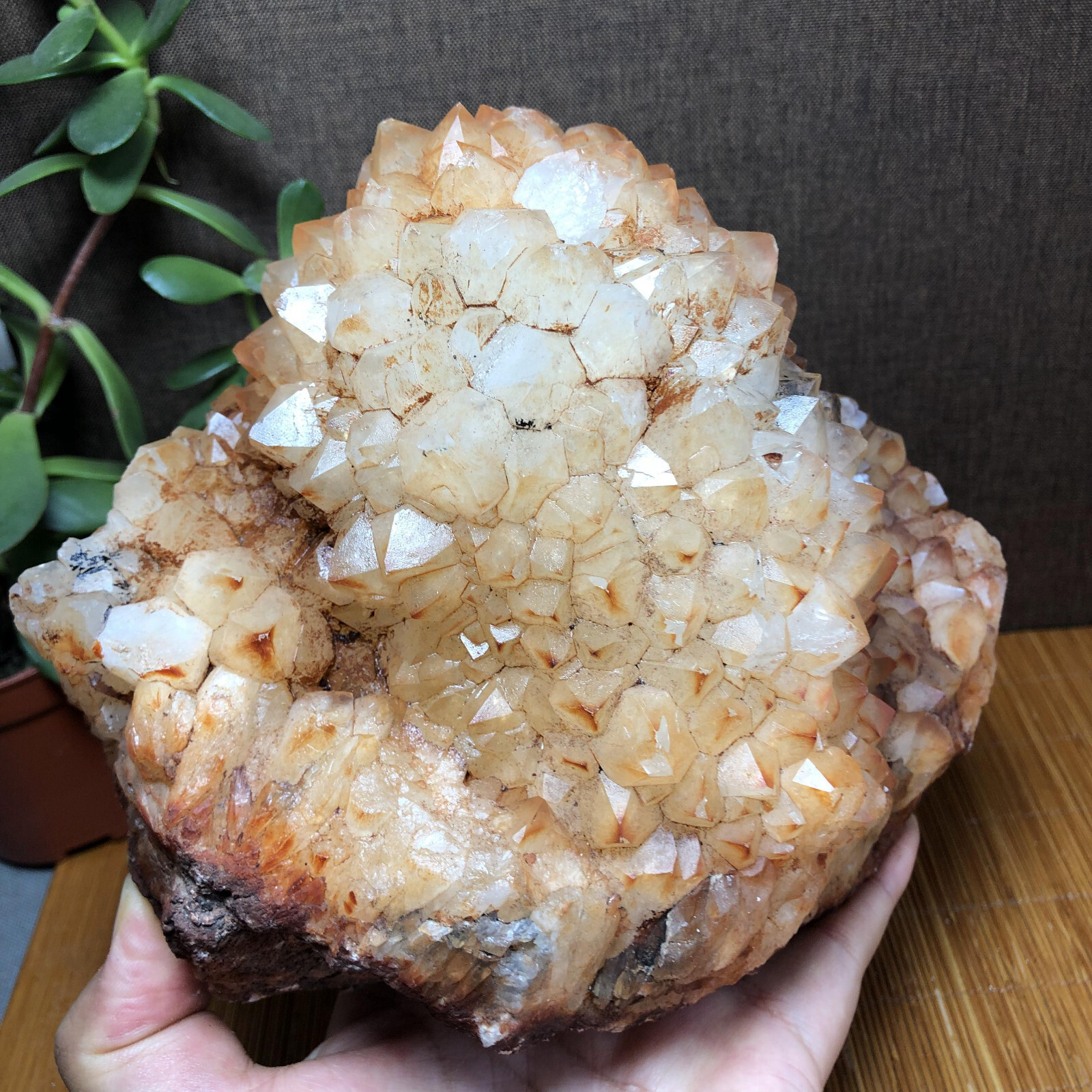 2.47kg Rare Natural rough Agate original pretty Stunning Viewing 190mm A2746