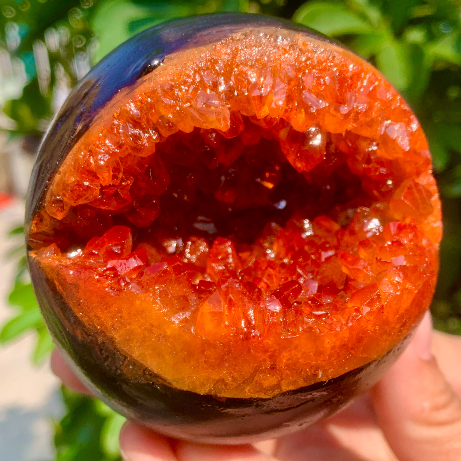 1.3LB Natural Citrine geode quartz crystal open smile sphere Museum Collection
