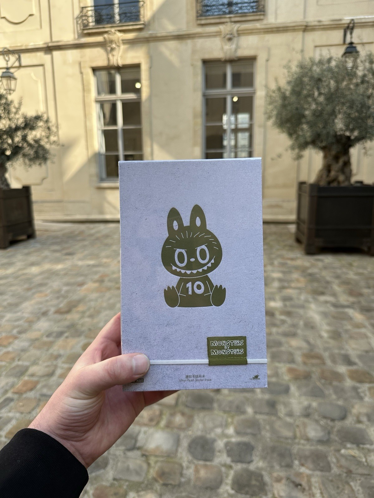 Limited Edition Labubu The Monsters 10th Anniversary Paris Exhibition Plush