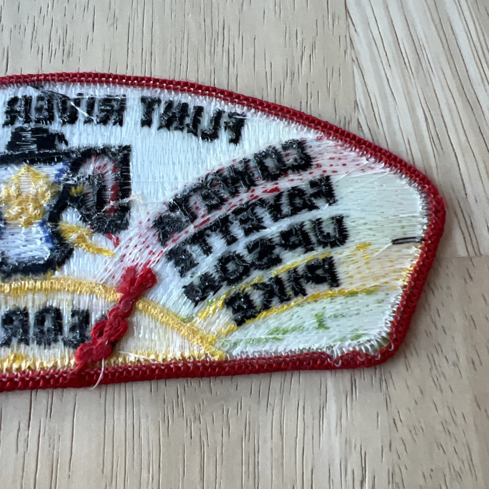 BSA Flint River Georgia Council Patch