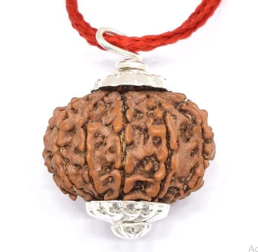 11 Mukhi Rudraksha Original Nepali Brown Color Pendant, Lab Certified, Silver Se
