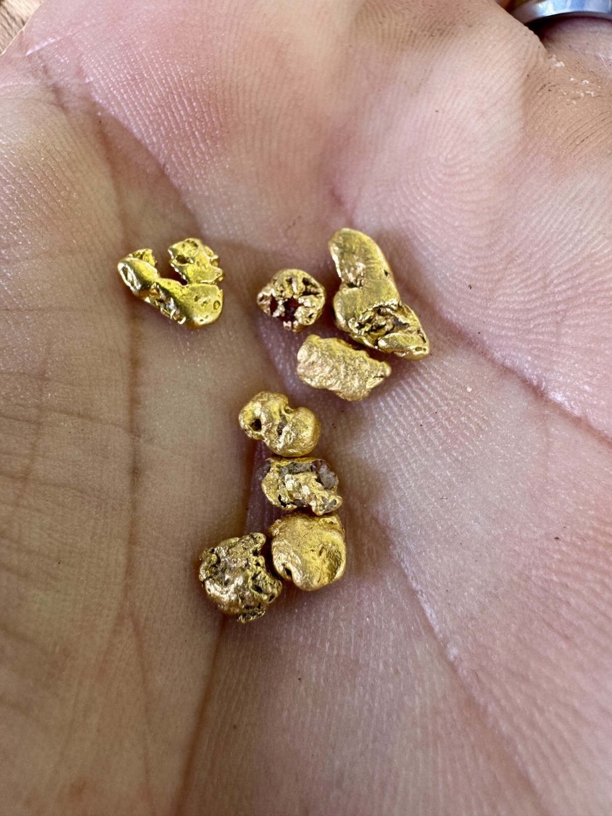 California GoldRush Paydirt 5 Gram Gold Nugget Hunt Unsearched Added Gold silver