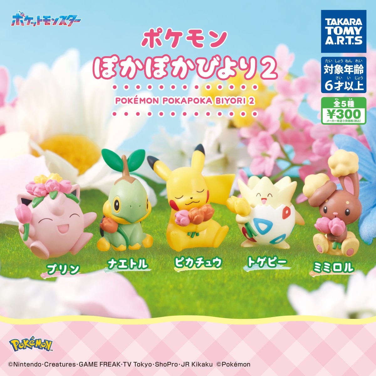 Pokémon Warm and Cozy Days 2 Complete Set of 5 Takara Tomy Gacha Capsule Toy