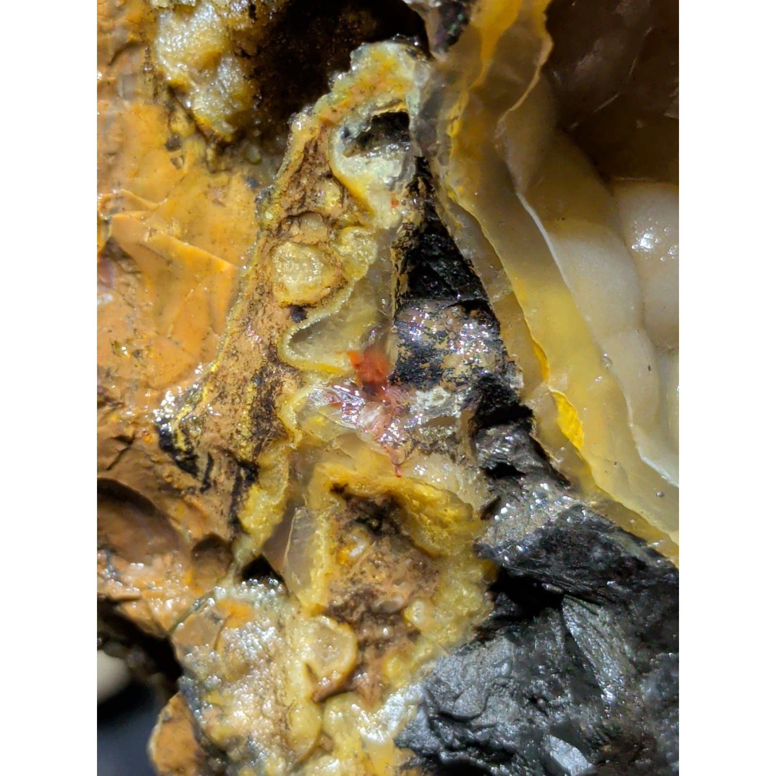 Thunder Egg Yellow Botryoidal Specimen Natural Form (1lb 10oz)