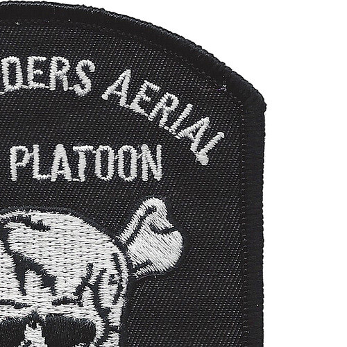 160th Special Operations Aviation Regiment Patch Ghostriders