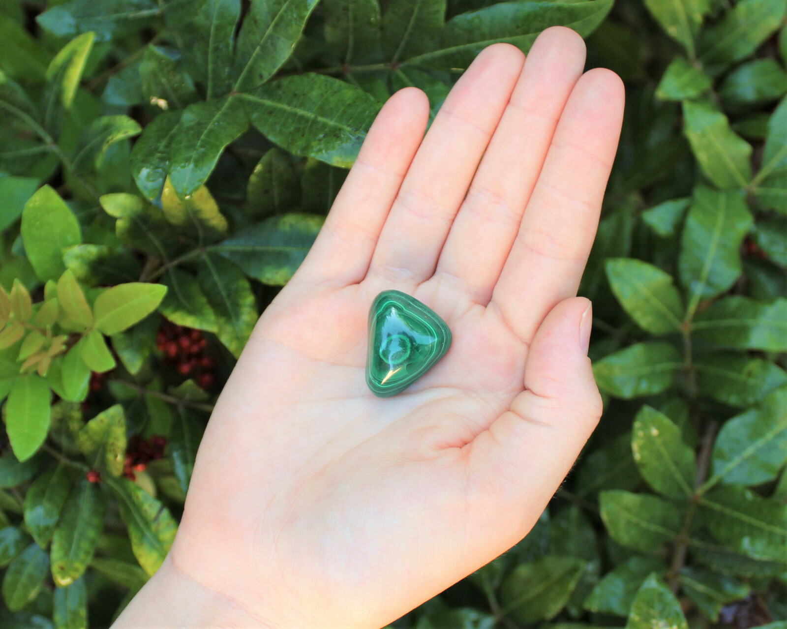 1 Medium Malachite Tumbled Stone (Crystal Healing Reiki Gemstone Metaphysical)
