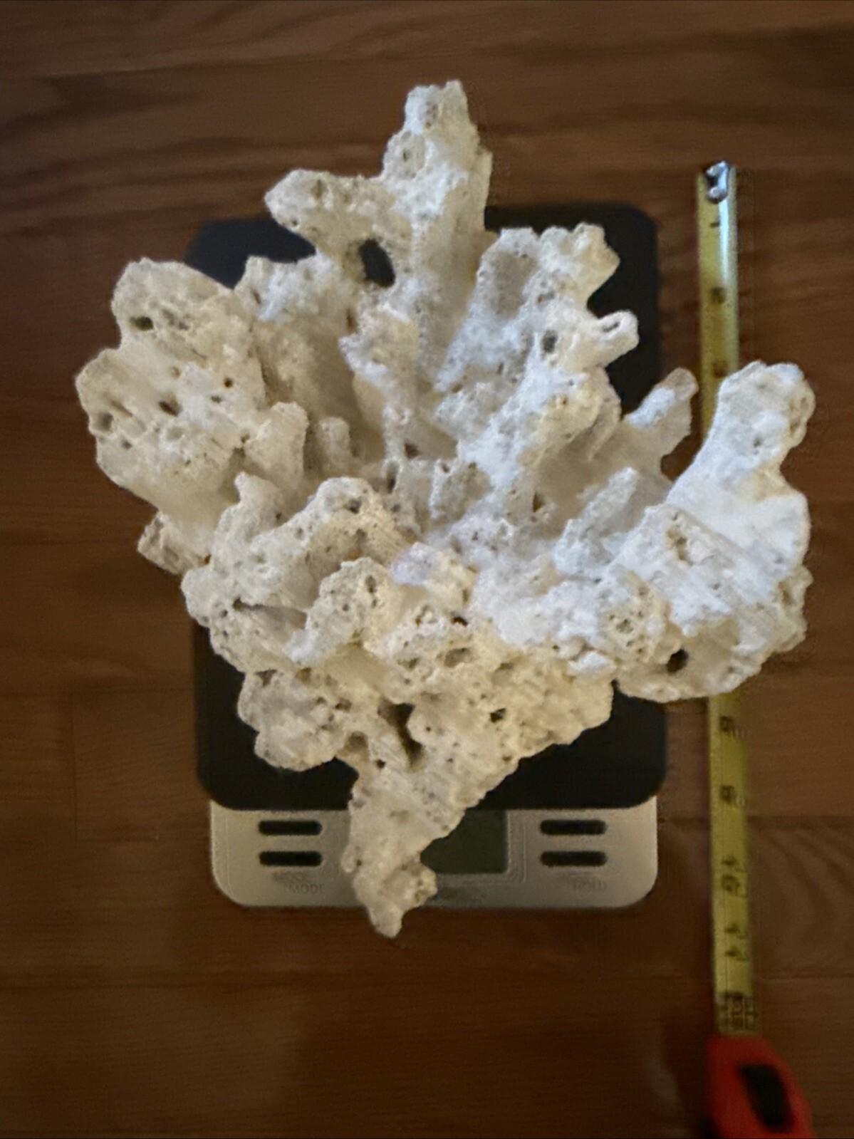 10x7x5″ Large Coral Reef Aquarium Decor Natural White 2 pounds 7 ounces – Unique
