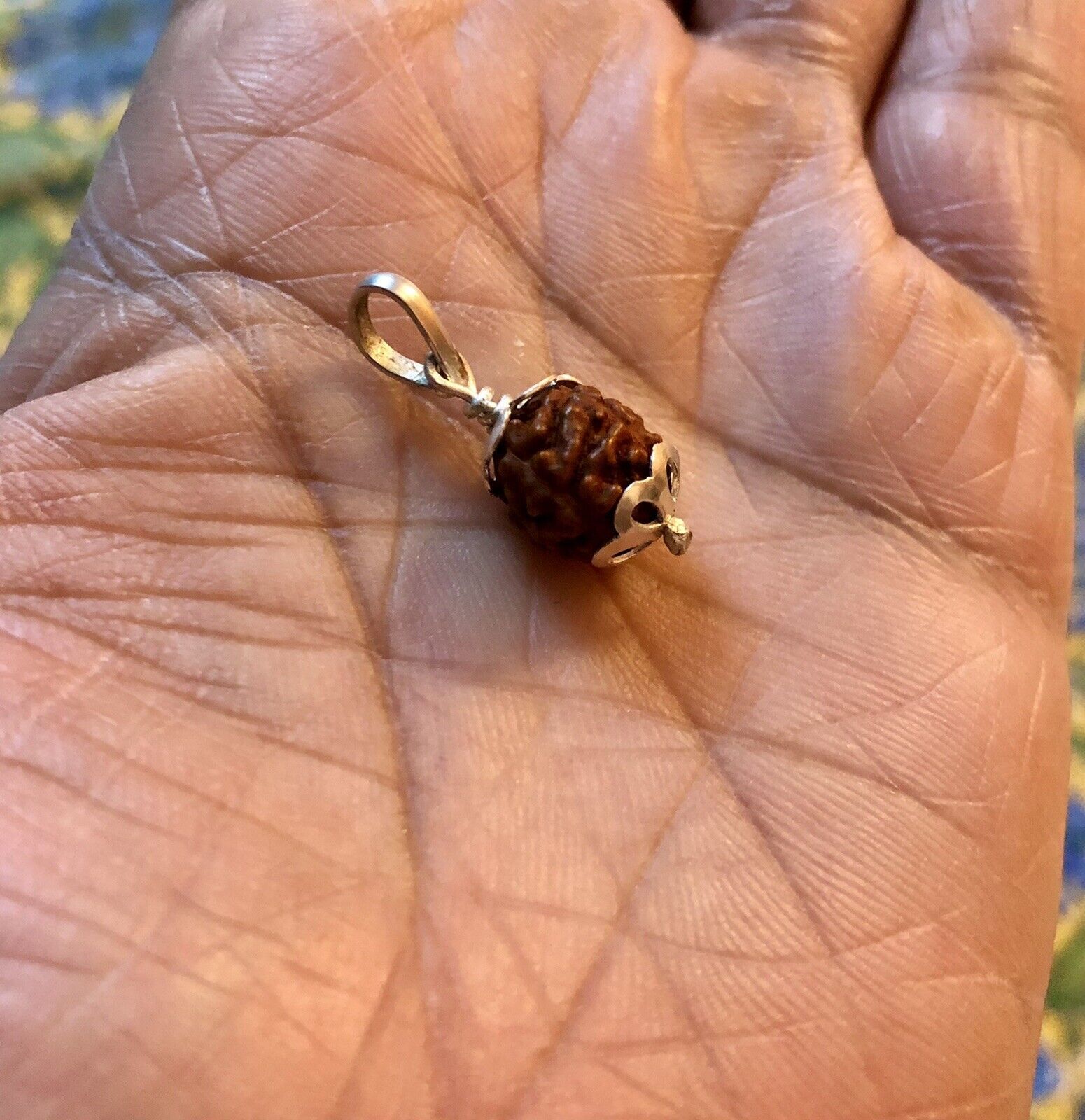 925 Silver + 5 Mukhi RUDRAKSHA Panchmukhi Rudraksh 5 Face Rudraksham Pendant
