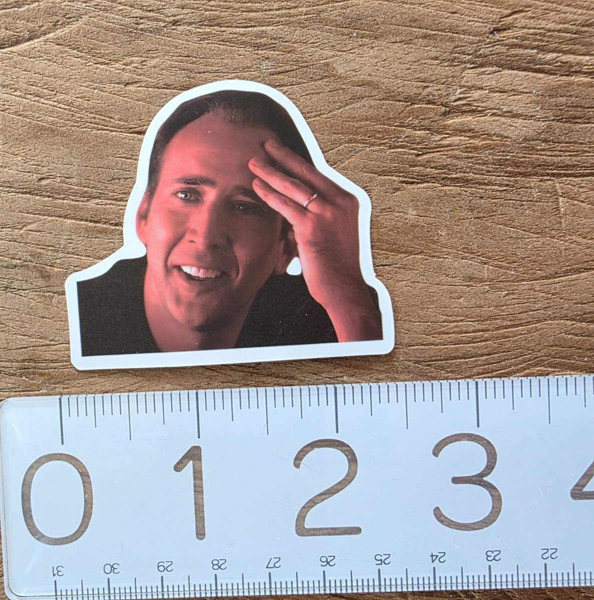 NICOLAS CAGE Sticker Funny Sticker Meme Sticker Meme Decal Nicolas Cage Decal