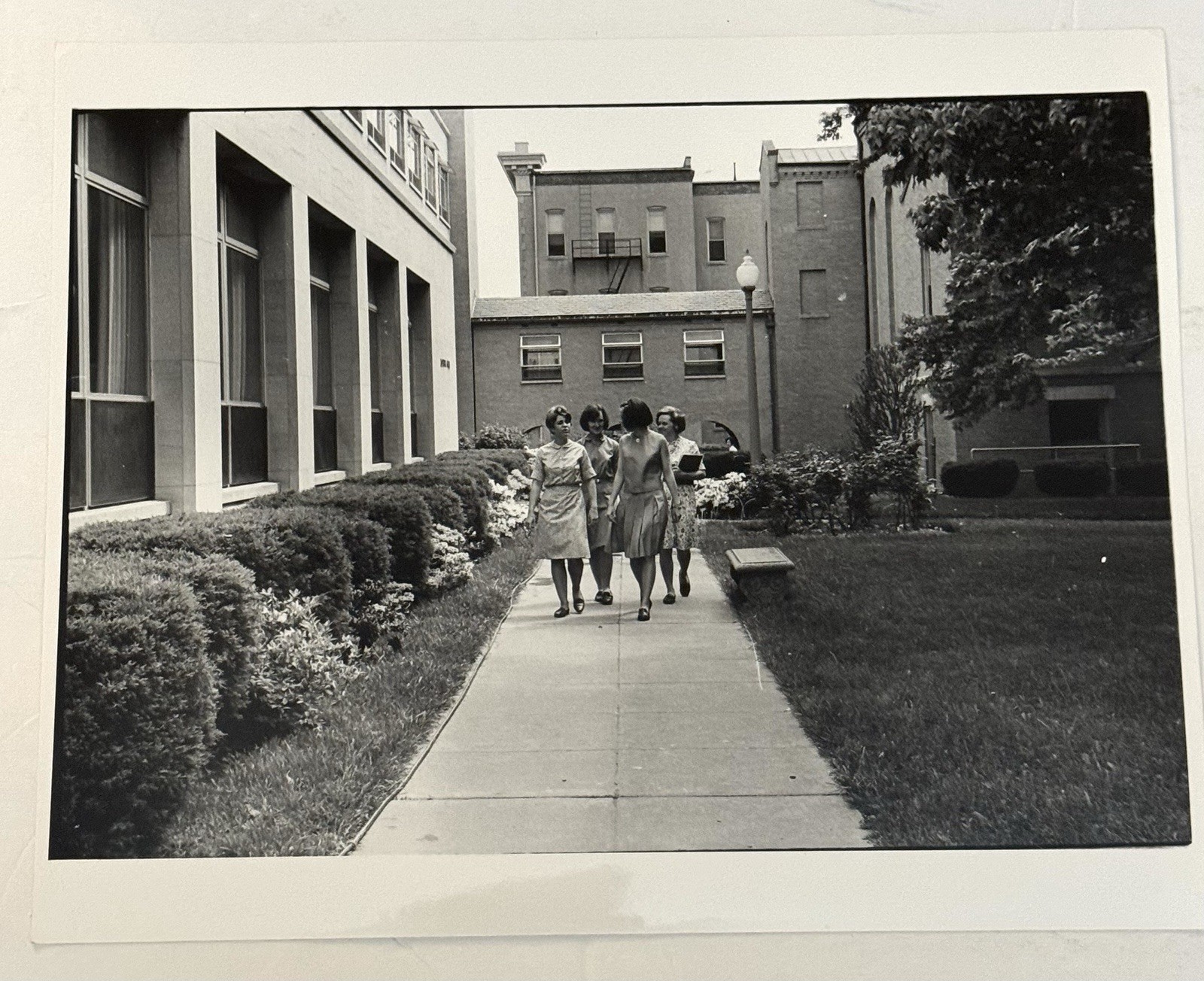 Vtg Photos 1950’s Girls Walking To Class Immaculata College Washington DC 8×10