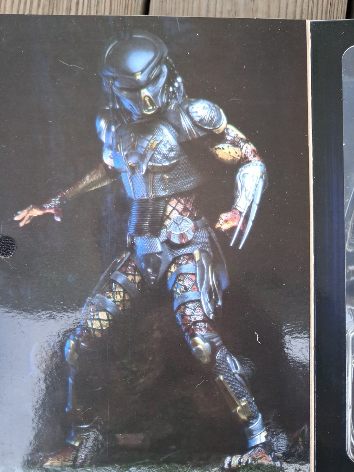 Predator