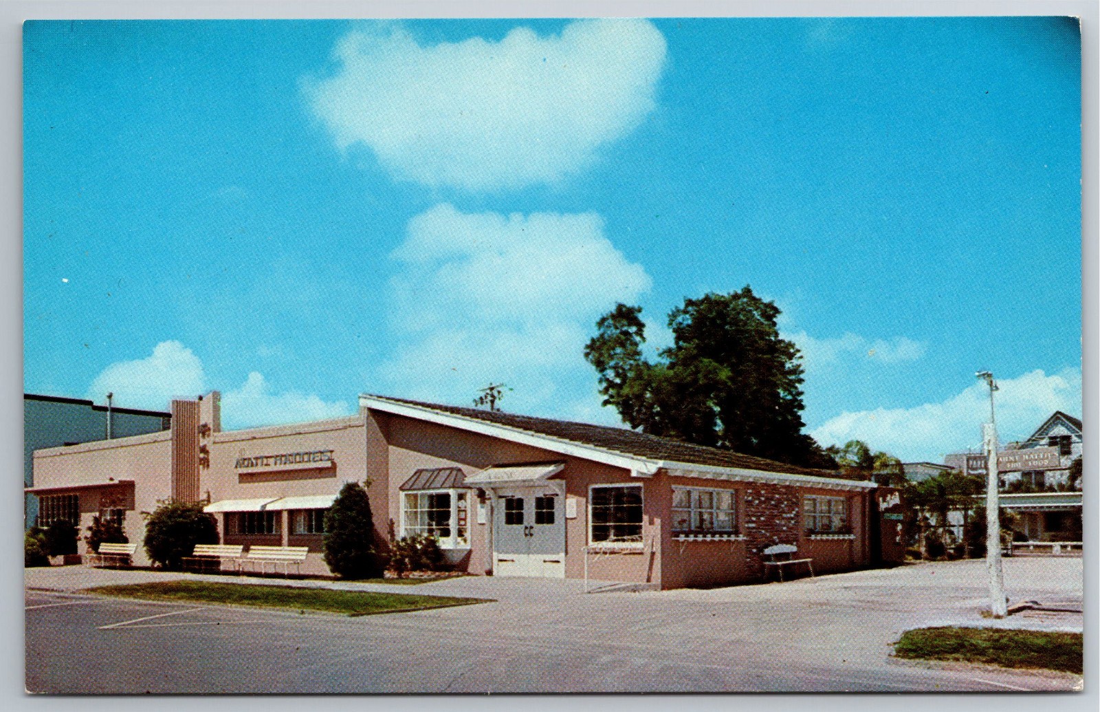 FL, St. Petersburg, Aunt Hattie’s Restaurant, Street View, Vintage Postcard