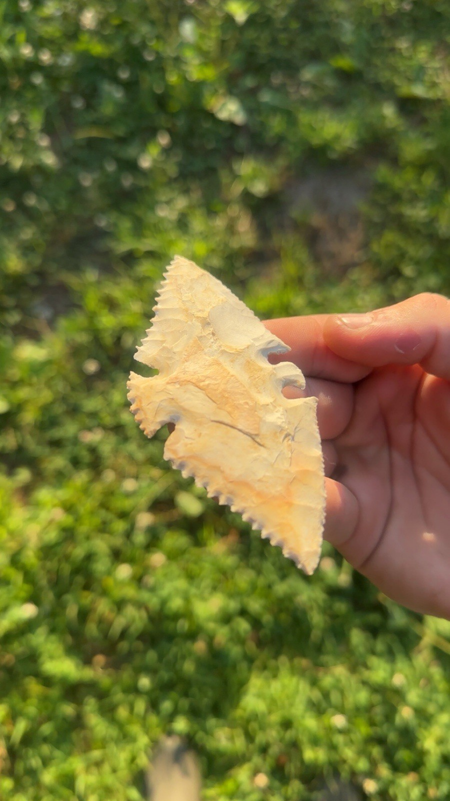 Modern Hand Made Eagle Arrowhead. 4 1/4 Inches Long