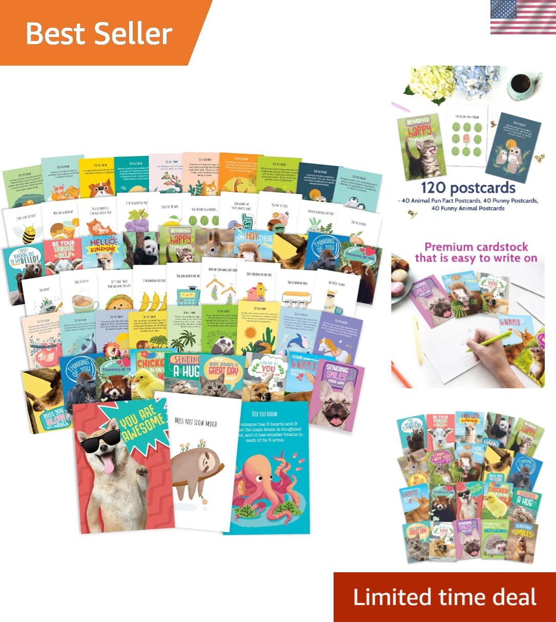 120 Assorted Bulk Postcards with Cute Animals and Funny Puns for All Occasions