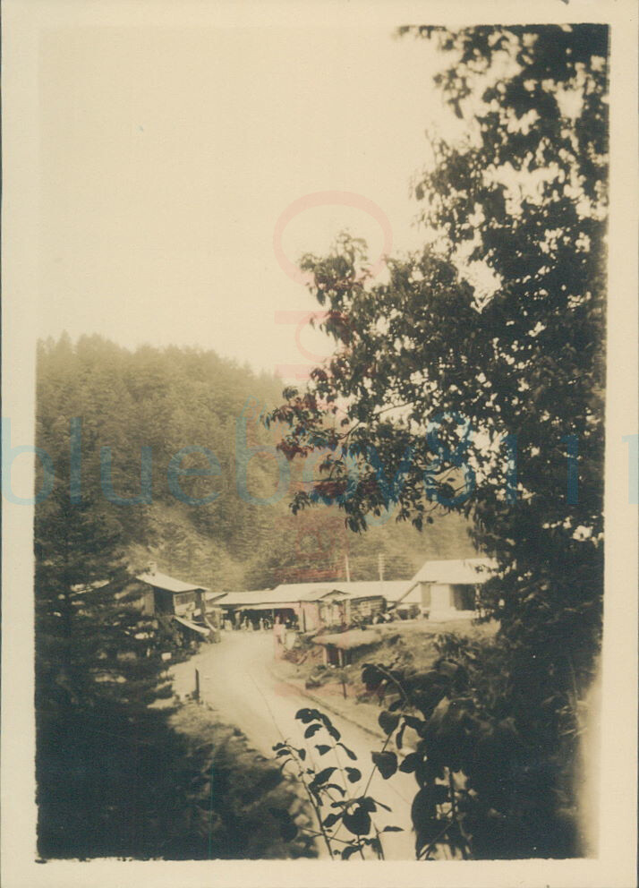 1929 photo Murree hills Chika Gali NW British India Pakistan 3.3×2.3″
