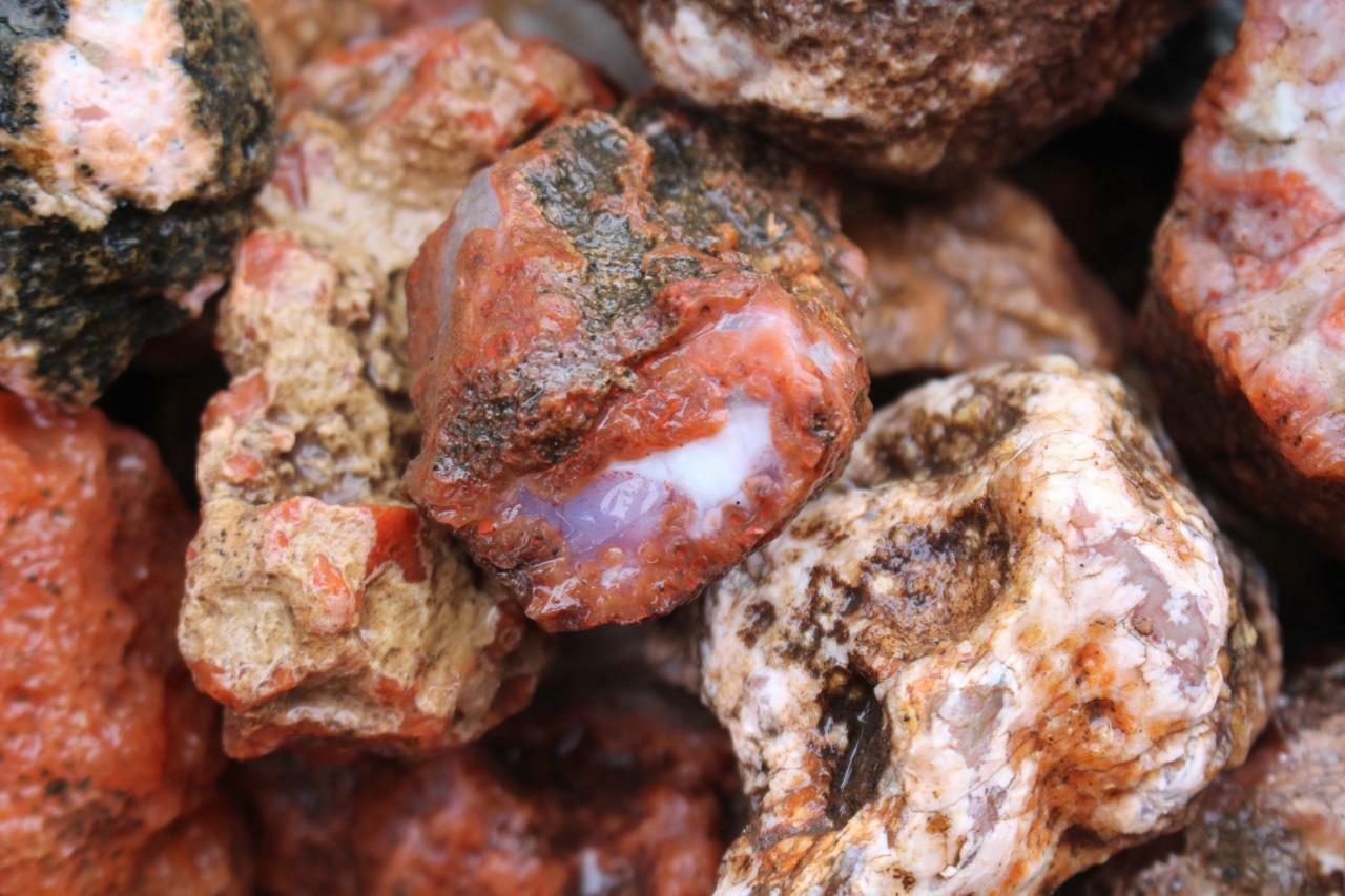 Morocco Berber Agate 5 lb Random pull rough lot