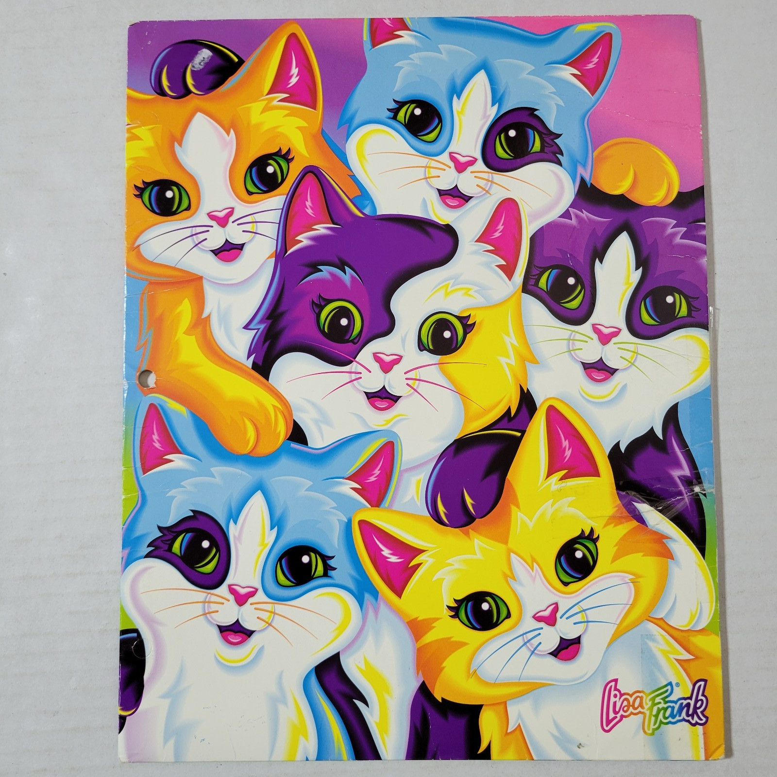 Vintage 2000 Lisa Frank Whisker Sisterhood Cats 2 Pocket Folder Y2K