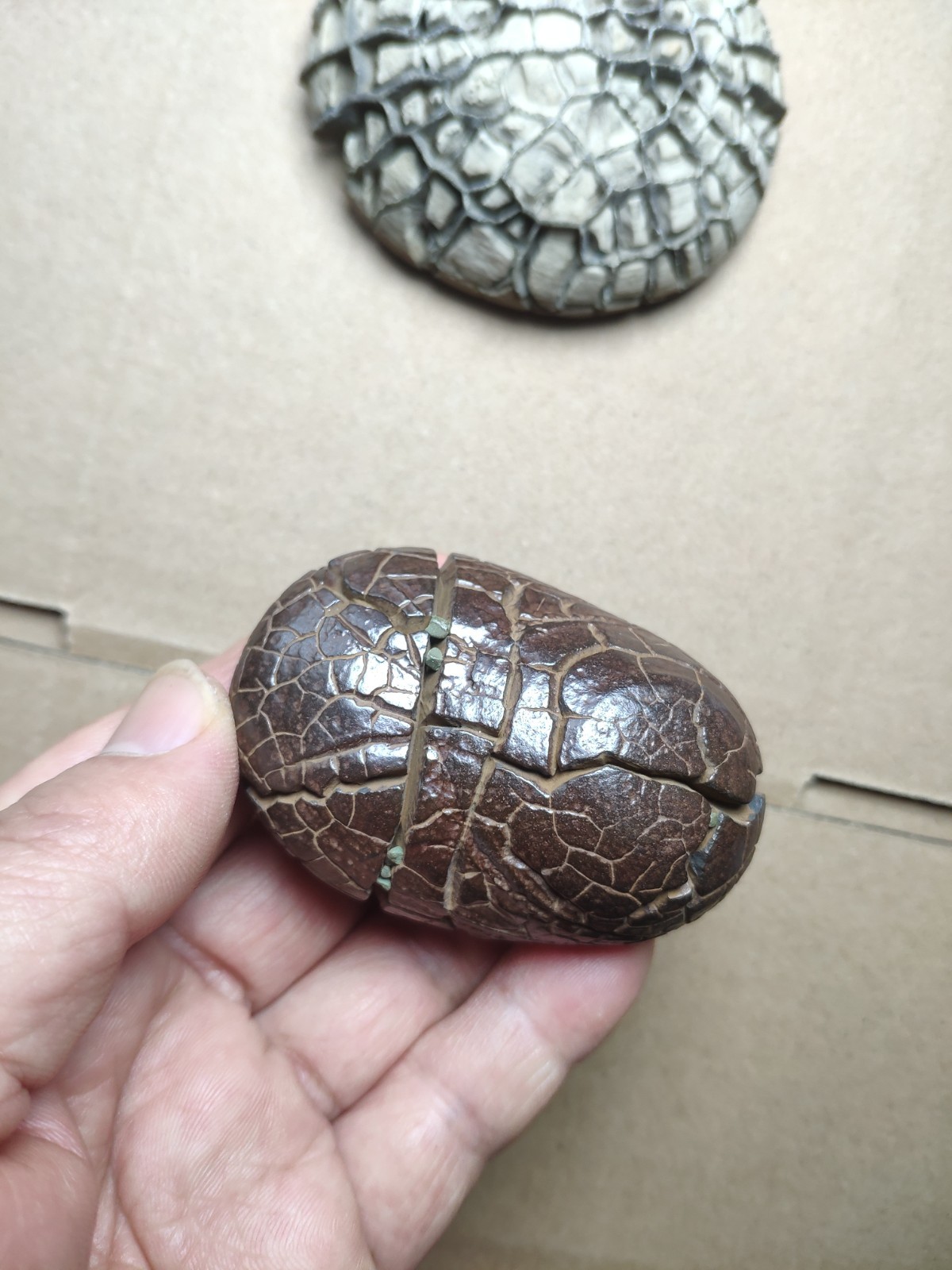 182g beautiful tortoise back pattern stone Turtle grain stone Landscape stone