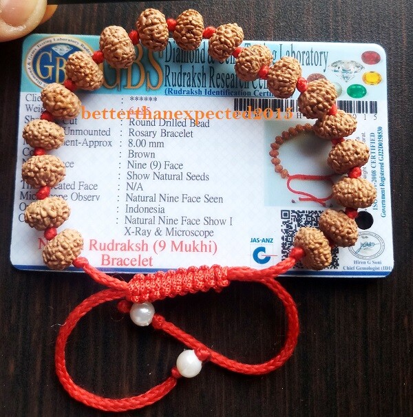 9 Mukhi Rudraksha / Nine Face Rudraksh Bracelet-16 Java Bead Size 8 MM~Certified