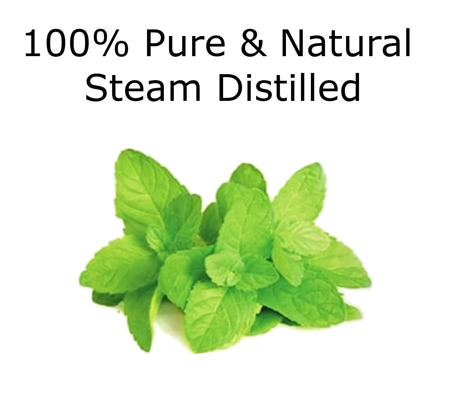 Essentially Kates Peppermint Essential Oil 4 Oz. Huge Glass Bottle Glass