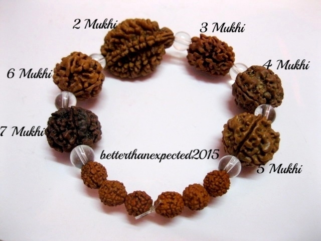 Rudraksh Rudraksha 2 3 4 5 6 7 Mukhi (Face) Beads Mala Wrist band bracelet–AA++