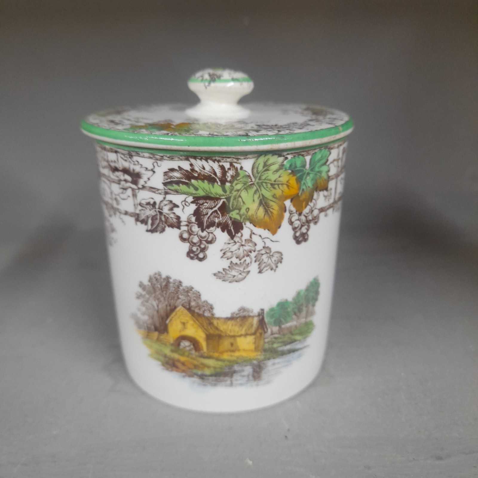 Copeland Spode Byron Preserve/ Jam Pot. Rare Vintage VGC
