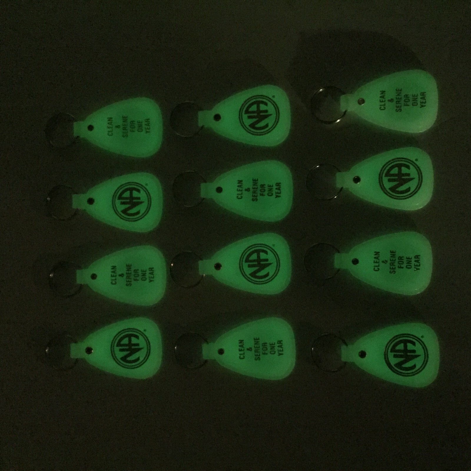 NARCOTICS ANONYMOUS NA KEY TAG MOONGLOW 1 Year Recovery 12 Piece English