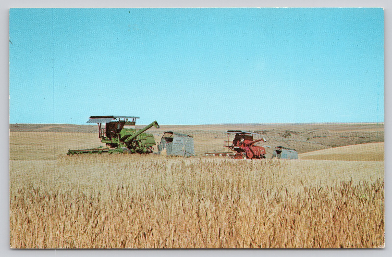 Vintage Photochrome Postcard Wheat Harvest Oregon By Byron Larson 1939-Now