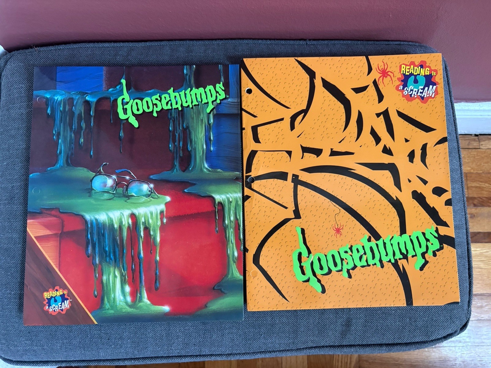 Lot of 2Vtg 1990s Goosebumps 2 Pocket Folders RL Stine Monster Blood/Spider READ