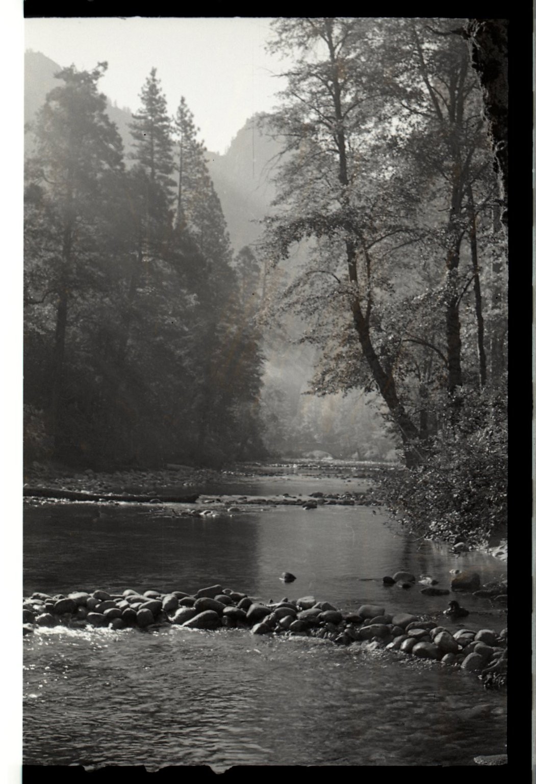 a24 Negative 1940’s Yosemite Natl Park River View 350a