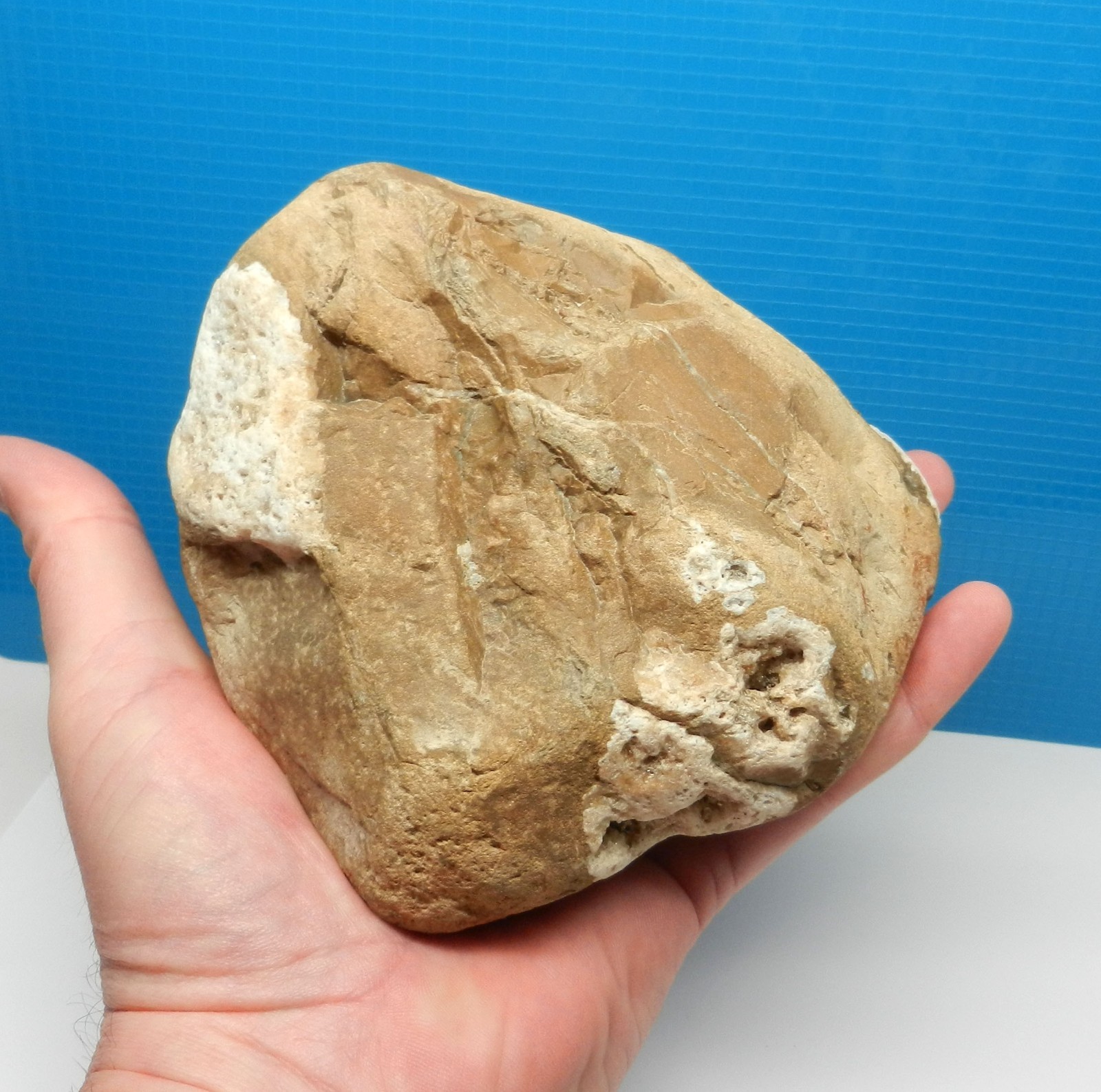 3.8 lb / 1724 gm Chert Nodule with Quartz Inclusions Rock Specimen Lake Superior