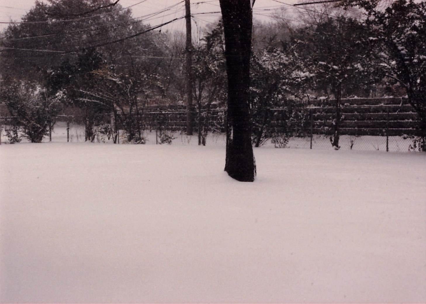 Snowy Backyard Landscape 1980s Snapshot Photograph Winter Scene Vernacular