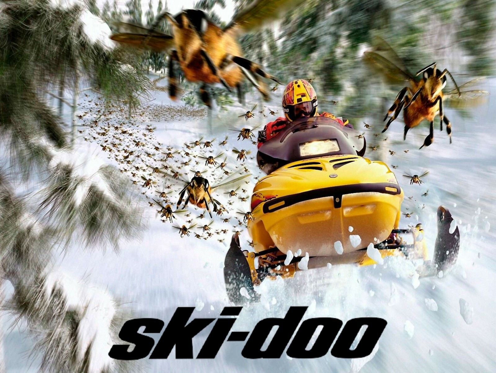 Ski doo Metal Sign 9″ x 12″ or 12″ x 16″