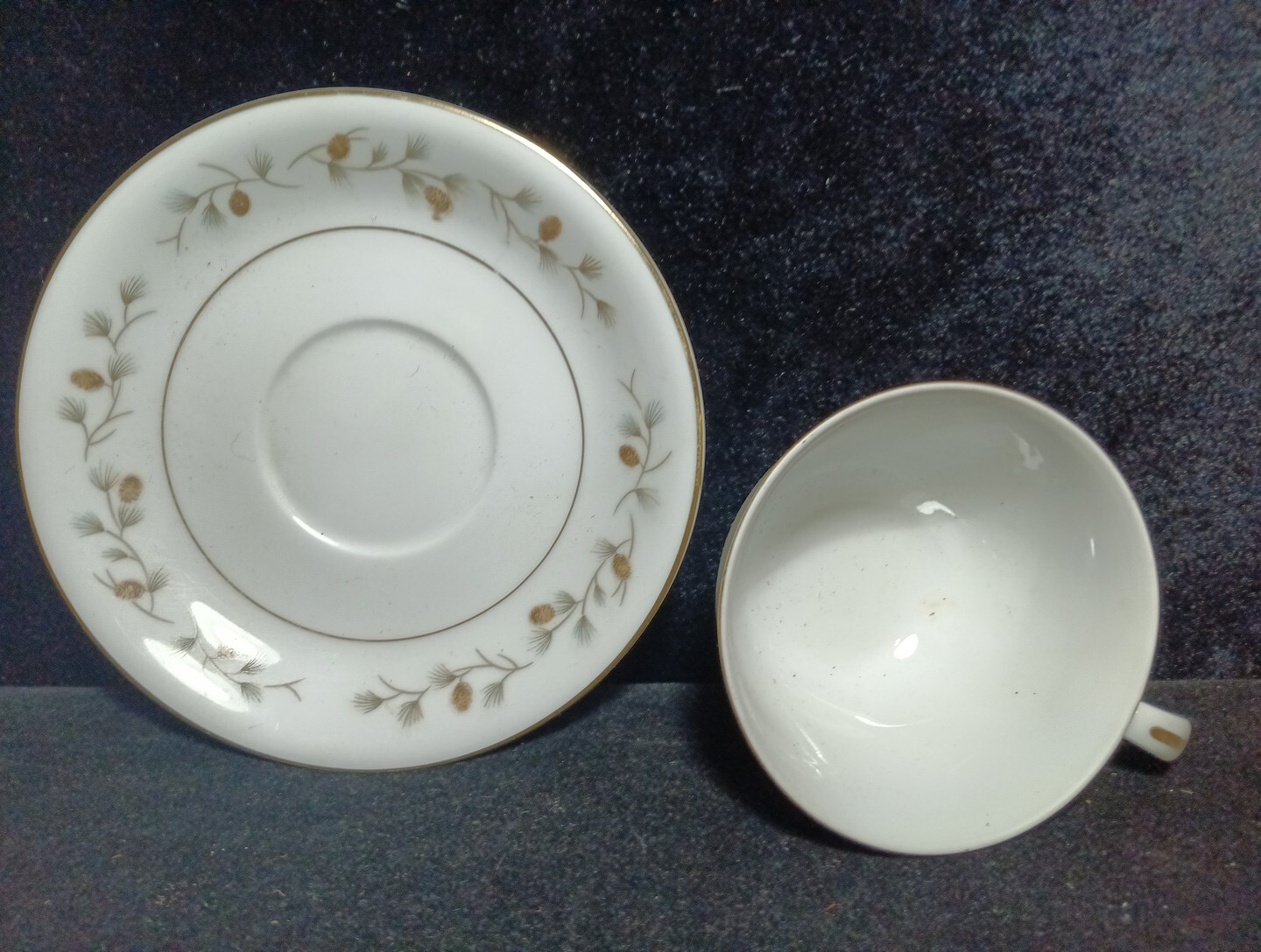 Royal Cameo Whispering Pine Cup & Saucer Set of 6