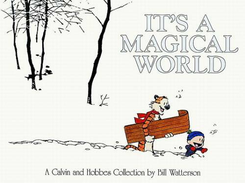 It’s A Magical World: A Calvin and Hobbes Collection – Paperback – GOOD