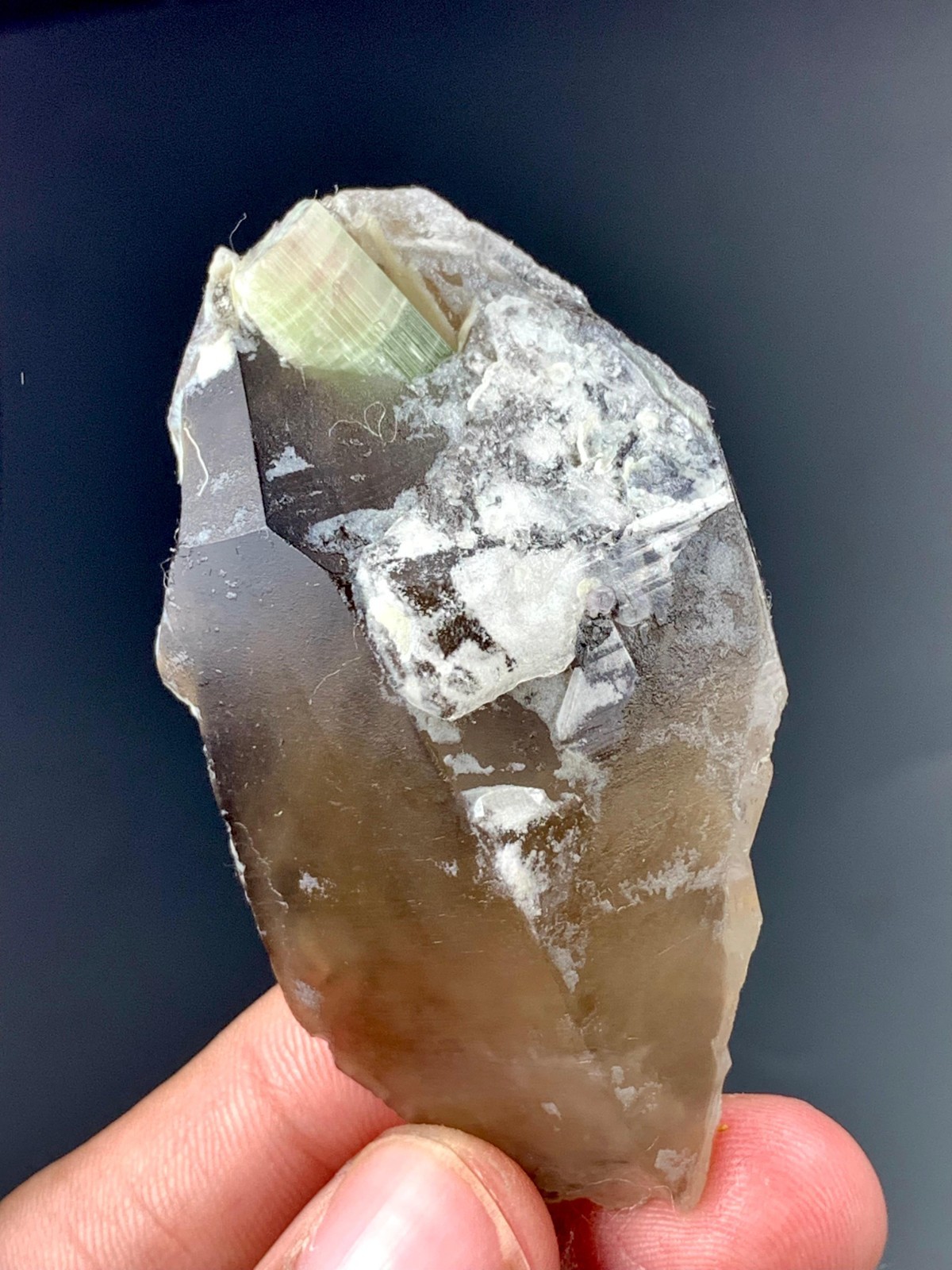241 Carat Tourmaline With Quartz Crystal Specimen From Afghanistan