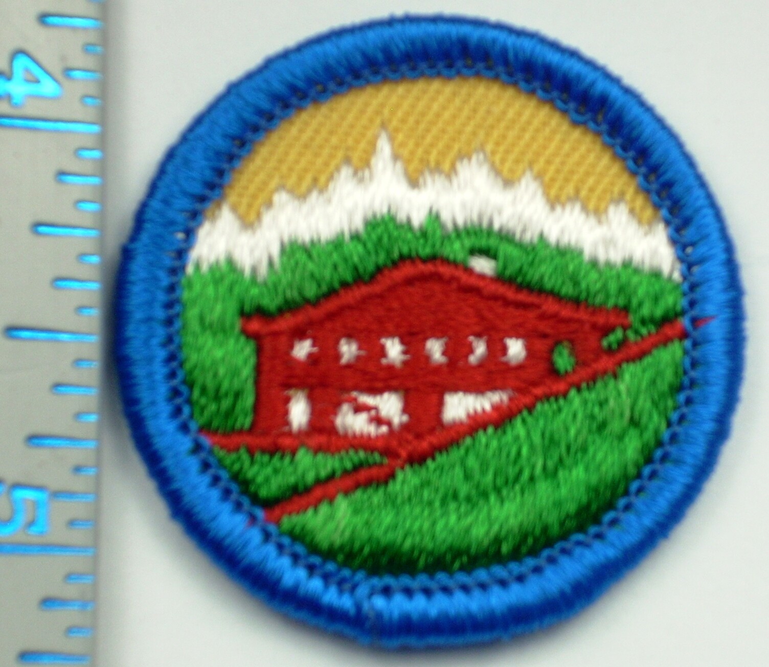 Vintage Girl Scout Badge – Hands Around the World – 1980-2001 – retired