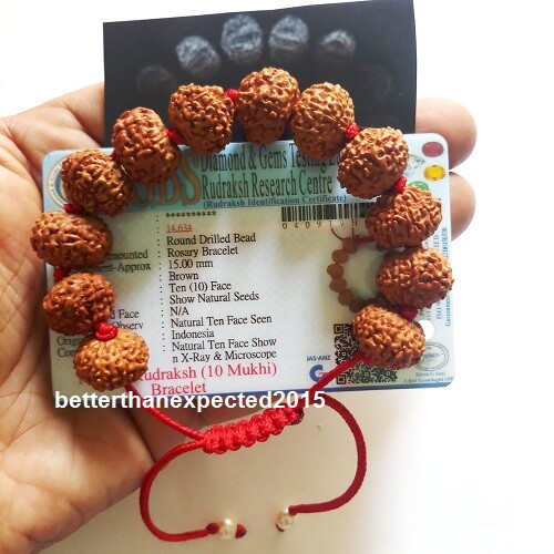 10 Mukhi Rudraksha /Ten Face Rudraksh / Narayan Bracelet 12 Java Beads 15 MM~Lab