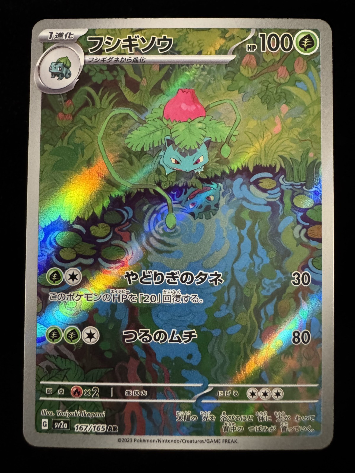 Pokémon SV2a Starter Evolution AR Set Bulbasaur Charmander Squirtle JP