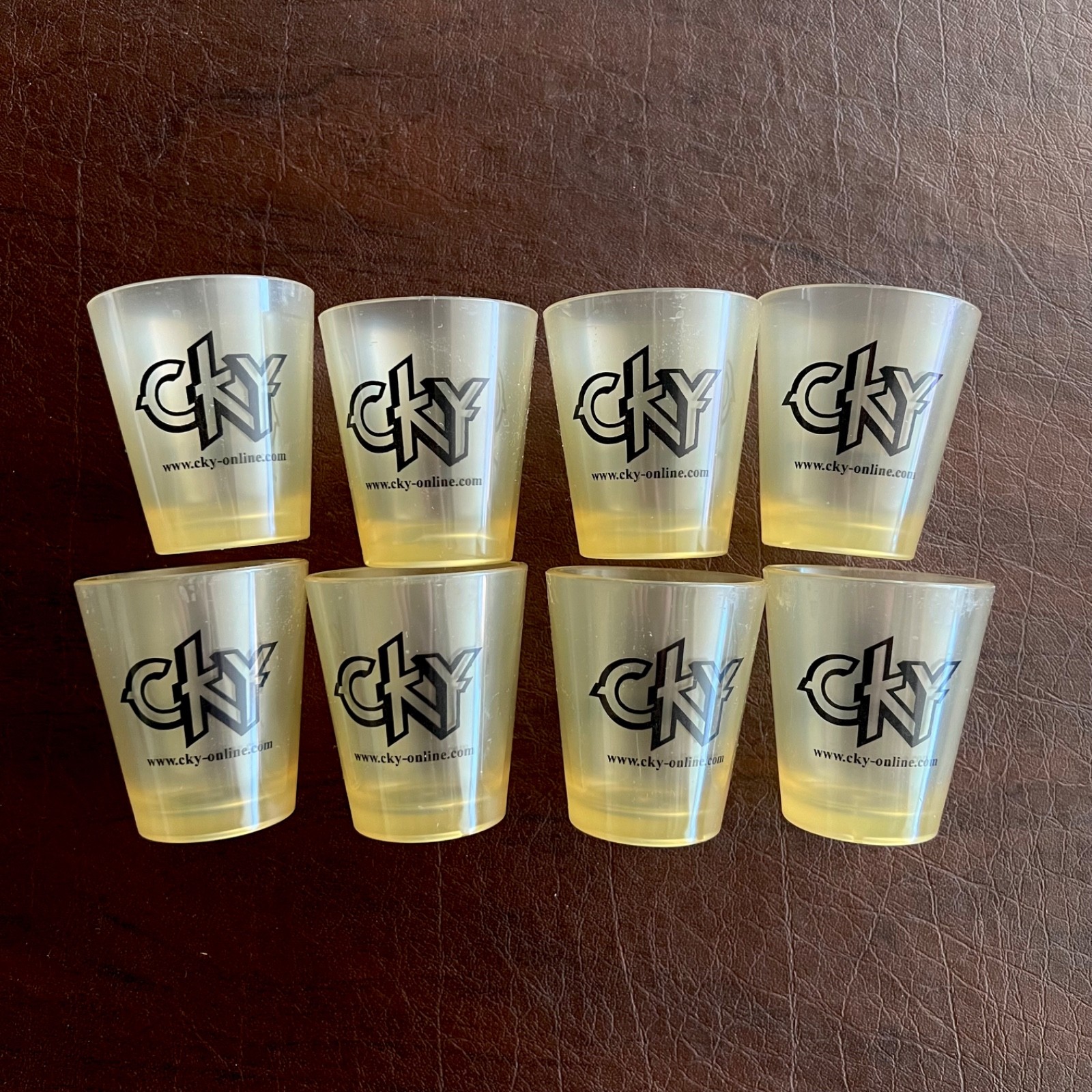 Rare 2003 Cky Band Shot Glasses Vintage MTV Bam Margera Him Viva La Bam Jackass