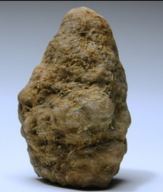 Kentucky Whole Geode – Natural Unopened Crystal Nodule – 7.74 lb. Exact Stone