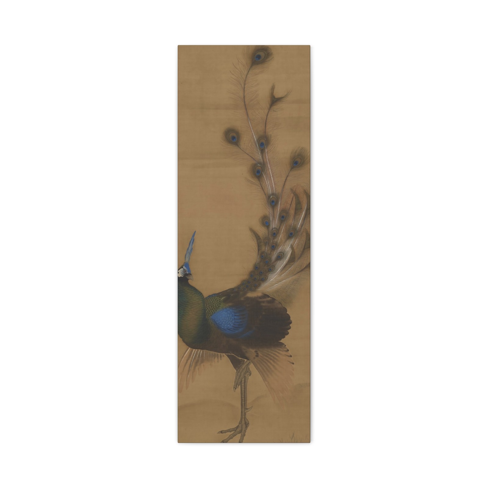 Mori Sosen (1747-1821) – Peacock – 1786 – Canvas Wall Art