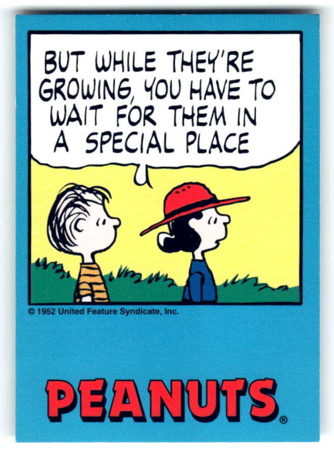 1992 ProSport Peanuts Classics #78 But while they’re growing, you have