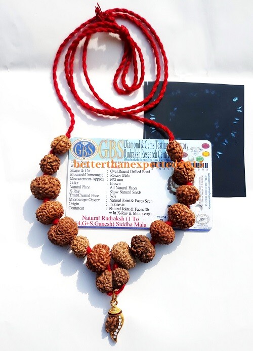 SIDDHA SIDH MALA 1 TO 14 MUKHI RUDRAKSHA JAVA BEADS RUDRAKSH AUM~ LAB CERTIFIED