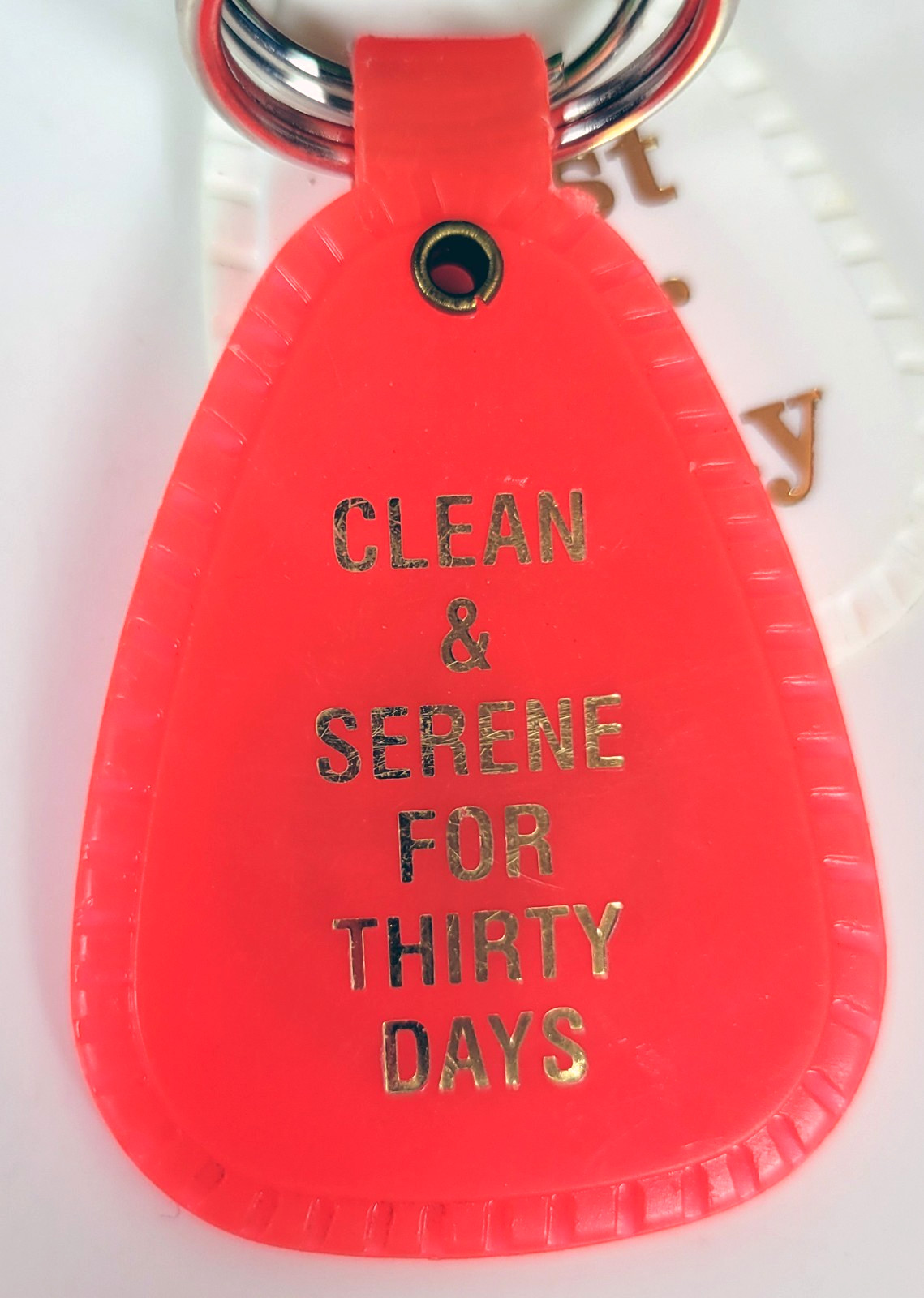 NA Narcotics Anonymous ‘Clean & Serene’ Keychains ~ Welcome 30, 60, 90 Days