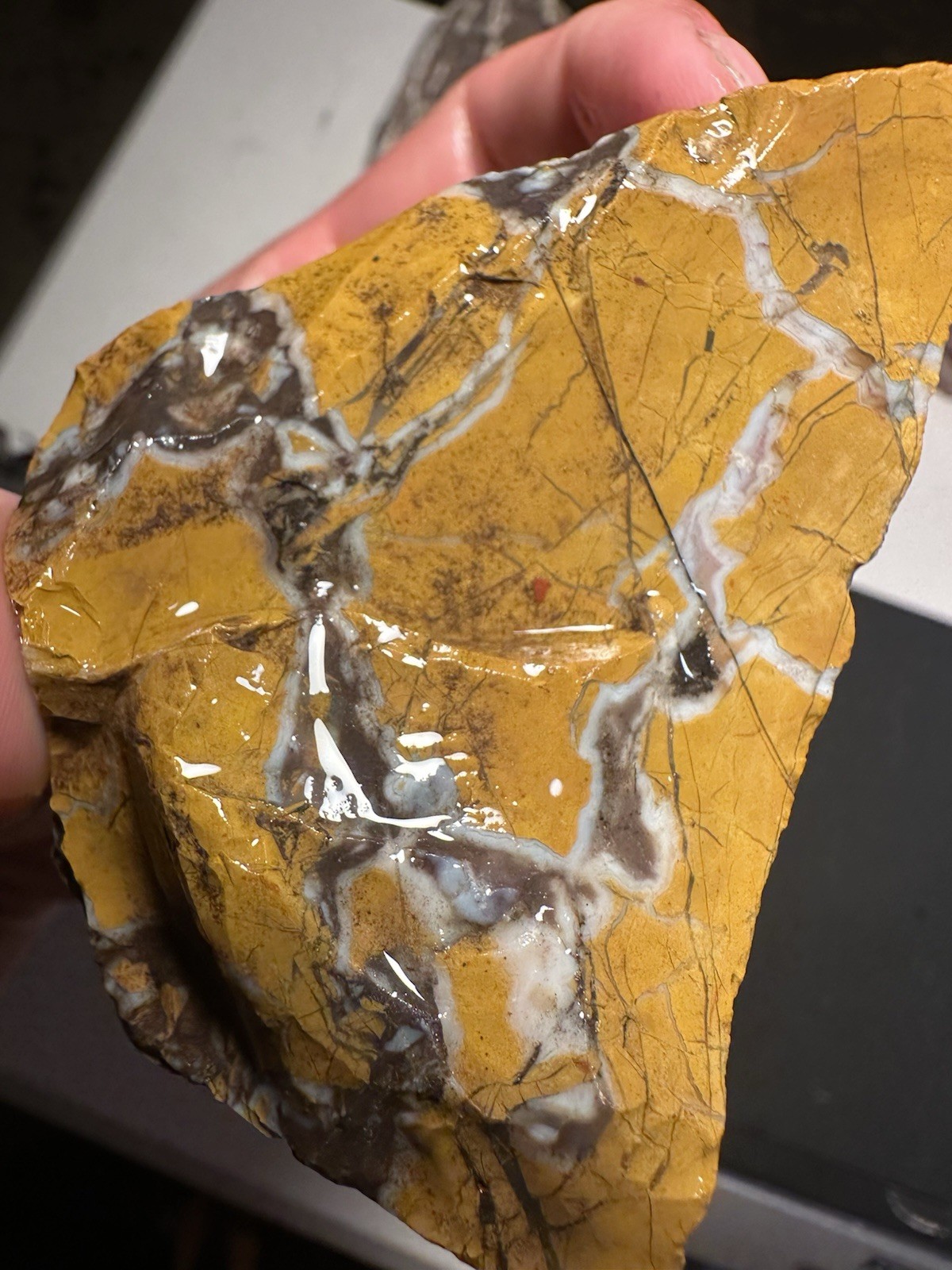 Stone Canyon Jasper CA Rough Natural Gemstone 1lb 0.9 OZ