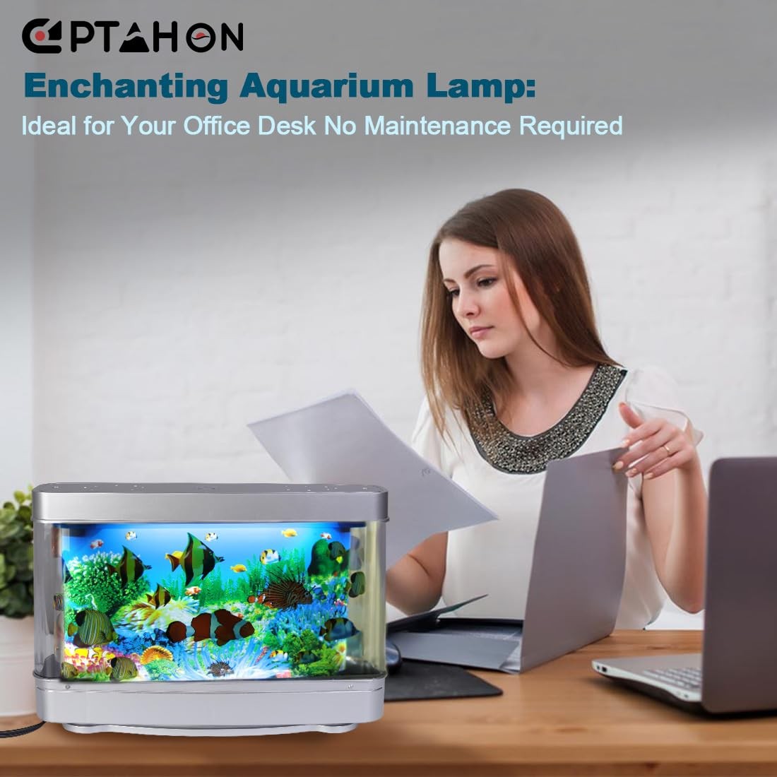 Tropical Fish Moving Lamp – Relaxing Mini Aquarium Night Light for Kids & Office